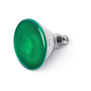 Faro barcelona 17399 светодиодная лампа PAR38 E27 LED 10W GREEN Faro barcelona