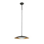 Иконка Faro barcelona 24501 SLIM LED Black and gold pendant/wall lamp подвесной светильник Faro barcelona